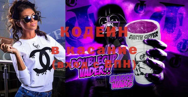 индика Покачи