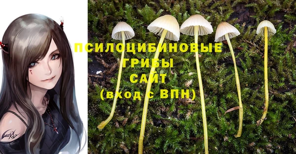 a pvp Богородицк