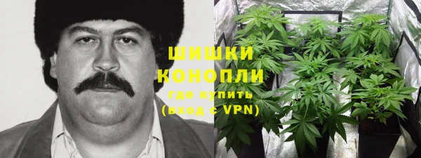 первитин Богородск