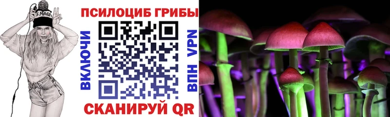 Галлюциногенные грибы ЛСД  omg ONION  Новоузенск  купить закладку 